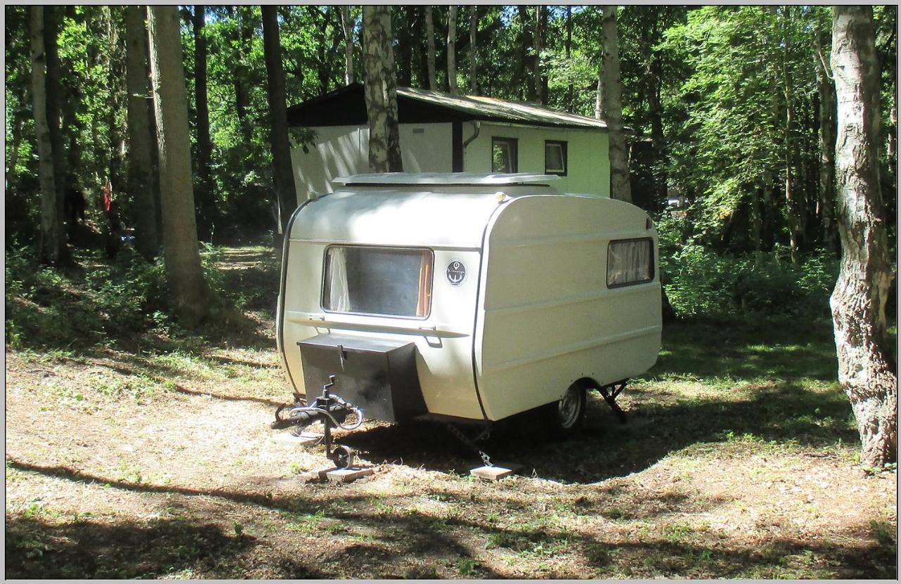 Ddr Wohnwagen Qek Direkt Am Strand Dranske Exterior photo